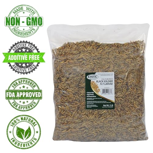 Exotic Nutrition 60 LB Bulk Dried Black Soldier Fly Larvae - High-Calcium Insect Treat - Chickens, Wild Birds, Bluebirds - size: 60 Pound (Pack of 1)
