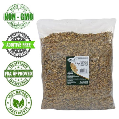 Exotic Nutrition 60 LB Bulk Dried Black Soldier Fly Larvae - High-Calcium Insect Treat - Chickens, Wild Birds, Bluebirds - size: 60 Pound (Pack of 1)