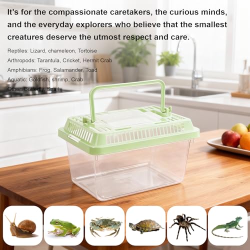10 Pack Small Plastic Reptile Carrier, Tarantula Enclosure Breeding Box with Handle and Ventilation Lid, for Spider Lizard Turtle Hermit Crab Fish, 7 x 4.3 x 4.3 Inch, Multi-Color - size: 7 X 4.3 X 4.3 Inch