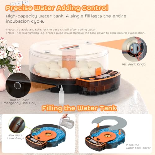 AsFrost Automatic Incubators for Hatching Eggs, 24 Egg Incubator,Upgrade Digital Incubator with Dual Modes,Temp & Humidity Control,Auto Turner, Egg Candler, Incubator for Hatching Quail & Poultry Eggs