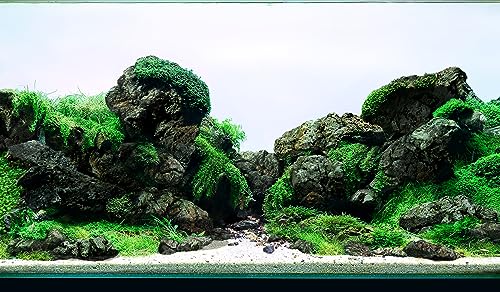 Black Icelandic Lava Stone Aquascaping Rock 18lb Planted Aquarium | Porous lava rock; planted and terrarium - size: 13 Black Icelandic Lava Stone(3-9 inches,18lbs)