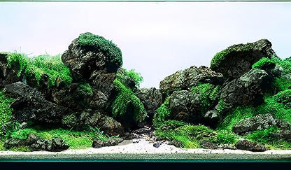 Black Icelandic Lava Stone Aquascaping Rock 18lb Planted Aquarium | Porous lava rock; planted and terrarium - size: 13 Black Icelandic Lava Stone(3-9 inches,18lbs)