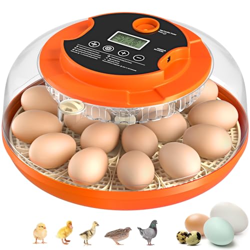 Egg Incubators for Hatching Eggs, 18 Egg Incubator with Automatic Egg Turning and Humidity Control Incubator for Chicken Duck Quail Home Lab - size: O-18H