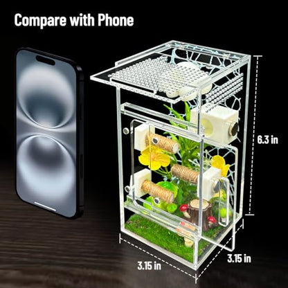 Jumping Spider Enclosure,DIY Insects Habitat,Small Reptile Terrarium Glass House Accessories Set,with Jumping Platform Hide Climbing Net(Green 2) - color: Green 2