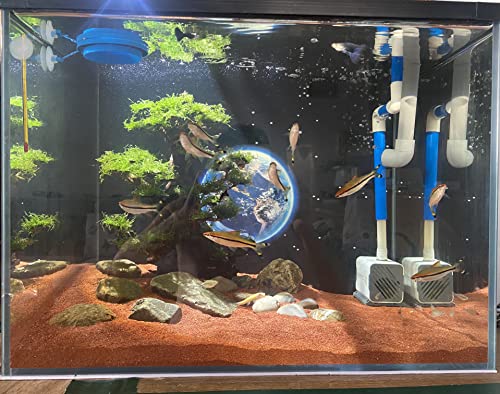 AWXZOM 11lb Natural South American Rainforest Sand, Aquarium red Sand, Lava Rock Soil, Red Lava Rock Sand, Succulent Sand Fish Tank Sand Aquarium Substrate Sand