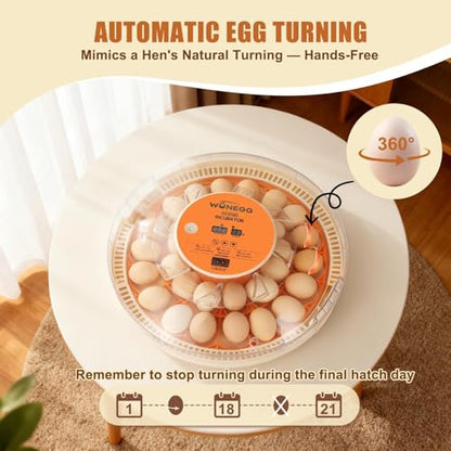 Nest II - 30 Egg Incubator for Large-Batch Hatchers, Hands-On Control, Auto Egg Turning, Manual Water Fill, Consistent Temp, Real-Time Display, Candler for Chicken, Goose, Duck, Quail, Pigeon, Turkey - size: 30 Egg [Orange]