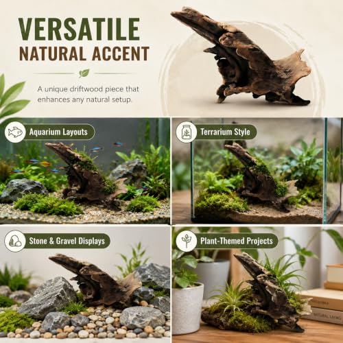 Natural Driftwood Tree Decoration for Aquarium, Fish Tank Plant Stump Ornament, Random Style(5-10cm)