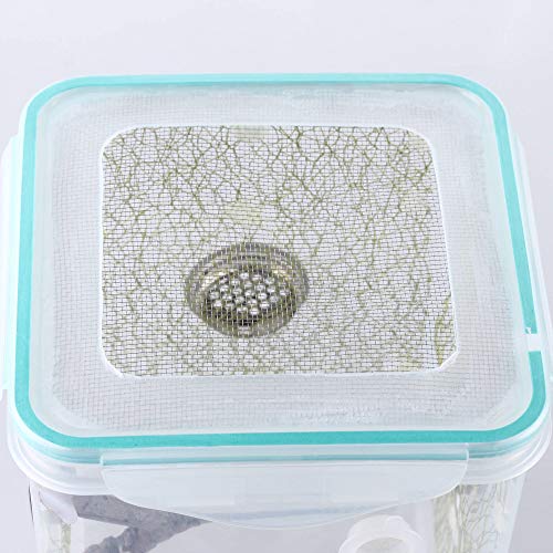 Ventilated Mantis Insect Habitat Kit, 6.2 x 6.2 x 7 in | 1.16 US Gal Bug Catcher Cage for Caterpillar, Cricket and Small Insects, Multi-Side Airflow, Animals Not Included