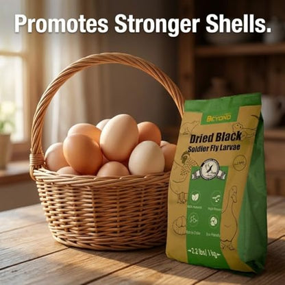 BeyondFeed™ Premium Dried Black Soldier Fly Larvae - High Calcium Supplement for Stronger Eggshells & Molting Recovery - Whole, Large Grubs (Superior to Mealworms) for Chickens, Ducks & Reptiles - size: 2.2 Pound (Pack of 1)