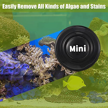 Cunhill 2 Pieces Mini Aquarium Glass Cleaner Magnetic Algae Scraper 1.57 x 1.38 Inch No Scratch Fish Tank Glass Cleaner Magnetic Brush for Thick Fish Tank Glass Acrylic Aquarium(Black)