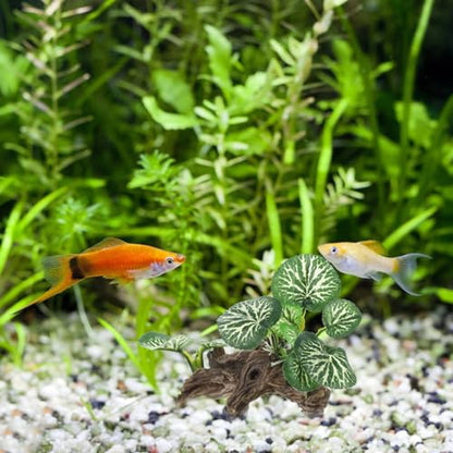 Ipetboom Reptile Corner Branch Resin Climbing Tree Branch with Leaves Terrarium Plant Branches Fish Turtle Tank Decor for Snake Bearded Dragon Lizard Frog - size: Large