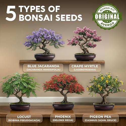 Bonsai Tree Kit Deluxe - Growing 5 Unique Japanese Bonzai Trees | Complete Indoor Bonsai Starter Kits for Growing Trees – Plant Lovers Gifts for Women & Men