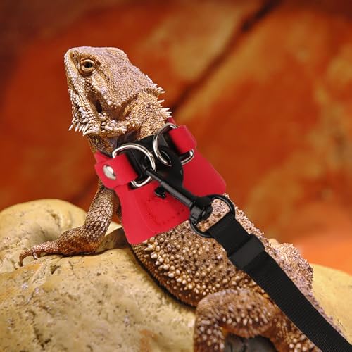 Christmas Bearded Dragon Harness Leash Set, 3 Size Pack, Red | Soft Vest Harness, Adjustable Hook and Loop, Durable Leash, For Bearded Dragon Lizard Reptile, For Christmas Outdoor Walking - color: Red