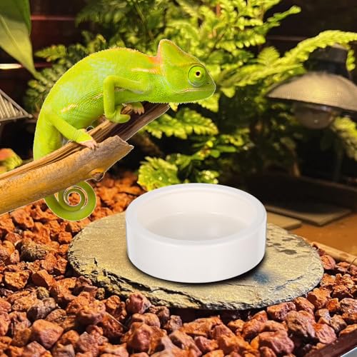 2 Pcs Ceramics Reptile Feeding Bowls for Small Reptile Animals and Lizards, White Round Bowls with Stable Desktop Standing and Safe Material, for Food and Water Storage