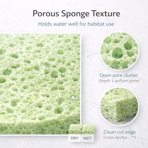 Green Sponge Accessories for Hermit Crab Habitat, Moisture Supply for Maintaining Tank Humidity, 10PCS