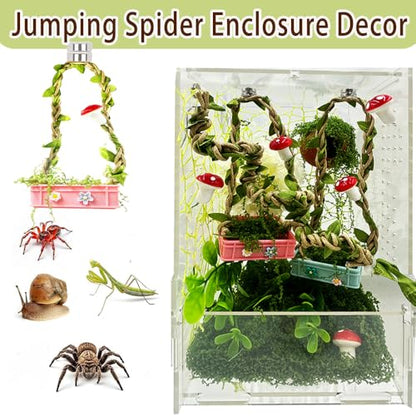 Jumping Spider Hidden Habitat Set (Decorated) - Jumping Spider Cage Accessories - Fun Perimeter Accessories for Climbing and Hiding