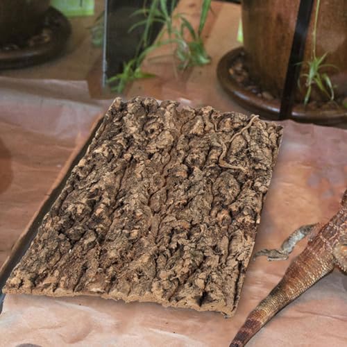 SHINEOFI Reptile Terrarium Bark Decor 4 Pack Natural Tree Bark Background for Reptile Tank Gecko Tank Decor Accessories 11.81 X 7.87 X 0.78 in Cuttable Habitat