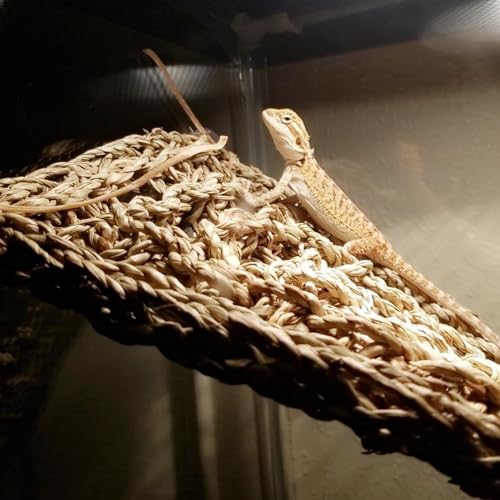 2 Pieces Bearded Dragon Hammock Large, 30" x 7" Reptile Hammock | Lizard Hammock, Climbing Habitat Tank Accessories, Reptile Bridge, For Chameleon Hermit Gecko Snakes - style: 2Pcs Rectangle