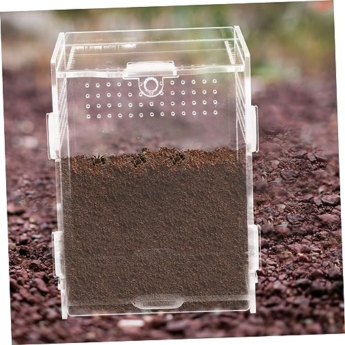 BESPORTBLE Reptile Incubators Terrarium Container Lizard Box Ventilation for Snake Scorpion Habitat
