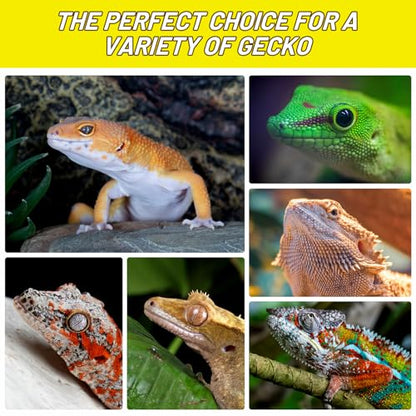 Crested Gecko Food, Silkworm Paste Reptile Food Made with Fresh Insects Gecko Food Complete Diet 2.82oz