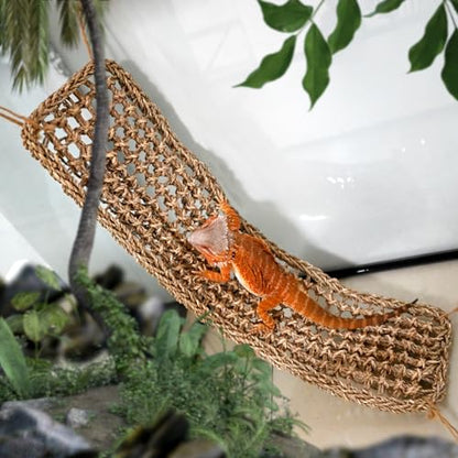 Bearded Dragon Lizard Hammock Reptile Lounger 30"*8" 1Pcs,100% Natural Seagrass Bed and Cage Terrarium Tank Accessories for Geckos,Snakes,Chameleon,Hermit Crab,Axolotl,Iguana