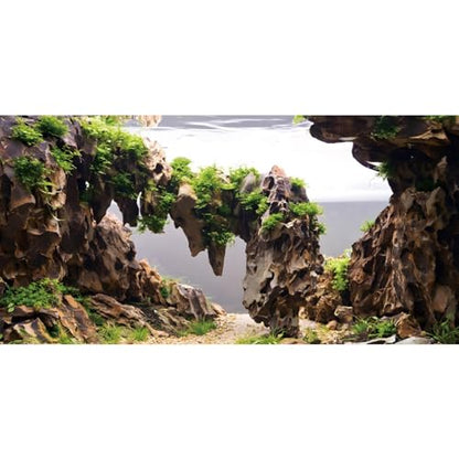 60x24 in Viewing Stone Aquarium Backdrop Riverbed Fish Tank Background | AWERT Aquatic Plant Seaweed Mossy Rock Vinyl Aquarium Background - size: 60x24in/150x60cm