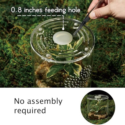 Acrylic Terrarium for Reptiles & Spiders – Small/Medium/Large Leak-Proof Enclosure (Horizontal/Vertical) | Ideal for Tarantulas, Jumping Spiders, Frogs & Geckos(Small, Round) - size: Small