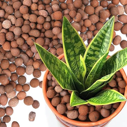 T4U LECA Clay Pebbles for Plants 2.3 QT,Indoor Clay Balls for Hydroponics (10) - size: 10