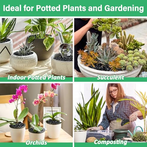 6QT All Natural Horticultural Charcoal- Activated Hardwood Plant Charcoal for Soil Amendment, Conditioning Bonsai Soil, Succulent Soil, Terrarium Supplies, Indoor Plant Potting Soil - color: 6 QT