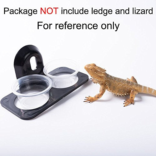 SLSON 100 Pack Gecko Food and Water Cups Gecko Ledge Cups Reptile Worm Bowl Mealworm Feed Feeder for Lizard Leopard Gecko Crested Gecko and Other Small Pets, 1 Oz