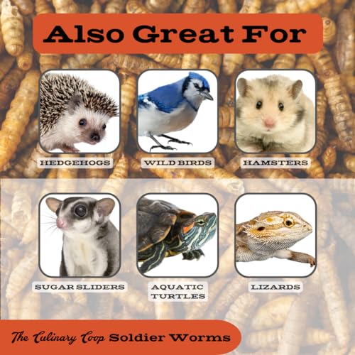 Fluker's Culinary Coop Bulk Dried Soldierworms, Premium Organic Dried Soldierworms for Chickens-High Protein & Omega3 Chicken Feed for Wild Birds, Reptile,& Chicken Treats for Laying Hens, 5lbs - size: 5 pound (Pack of 1)