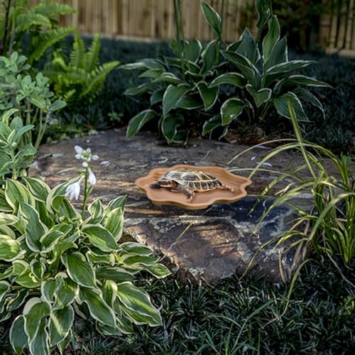 Reptile Water Bowl with Ramp, 11.81 x 5.91 x 2.20 in Terrarium Bathing Pool for Tortoises, Geckos, and Chameleons, Light Brown - color: Light brown