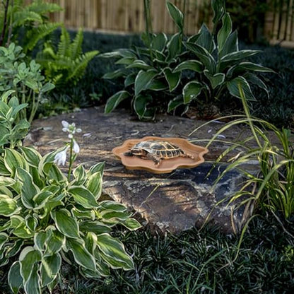 Reptile Water Bowl with Ramp, 11.81 x 5.91 x 2.20 in Terrarium Bathing Pool for Tortoises, Geckos, and Chameleons, Light Brown - color: Light brown