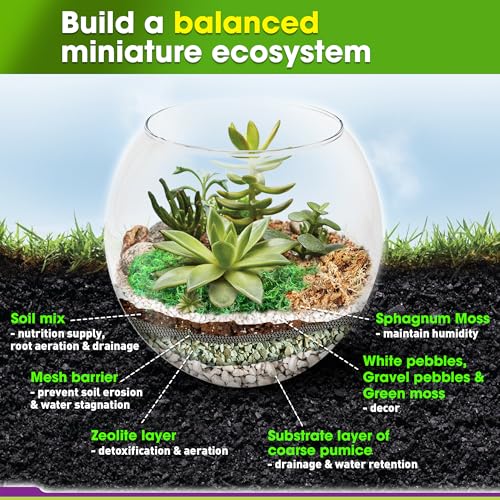 All-in-One DIY Terrarium Starter Kit for Air Plant & Succulent | Includes Potting Soil, Pumice, Zeolite, Green Moss, Sphagnum Moss, Decorative Stone, Mesh, Tools & Guide - size: Terrarium Kit