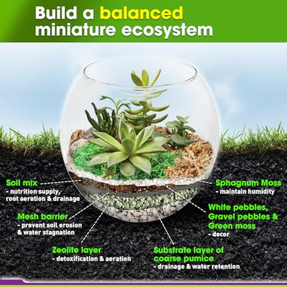 All-in-One DIY Terrarium Starter Kit for Air Plant & Succulent | Includes Potting Soil, Pumice, Zeolite, Green Moss, Sphagnum Moss, Decorative Stone, Mesh, Tools & Guide - size: Terrarium Kit