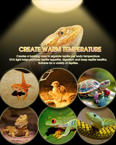 Reptile Heat Lamp Bulbs-100W UVA Natural Daylight Heating Lamp Basking Bulb | for Bearded Dragon, Basking Spot Floodlight Light for Reptiles, Lizard, Turtle, Snake Bathroom, Plants,Chickens Pets, 2 Pack - color: Daylight