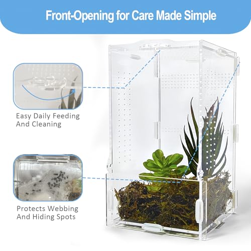Jumping Spider Enclosure, Arboreal Tarantula Enclosure, Praying Mantis Terrarium Critter Cage for Jumping Spider, Tarantula Slings, Snail, Isopods, Beetles, Millipedes, Springtails - size: Small