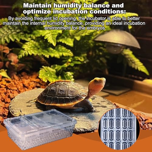 Reptile Breeding Hatching Box, PP Transparent Container with Clear Cover, Anti-Slip Incubator Box for Turtle, Gecko, Snake Egg Hatching