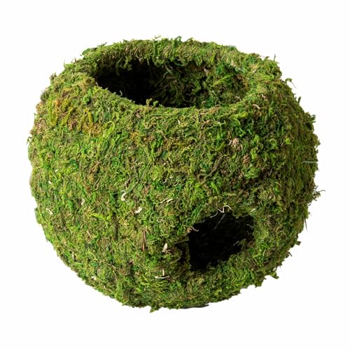 Galápagos (05344) Mossy Cave with Holes | Natural Reptile Hide for Bearded Dragons, Geckos, Snakes, Tortoises, Frogs, Hermit Crabs, and Lizards | Terrarium Decor, 7.5in Diameter