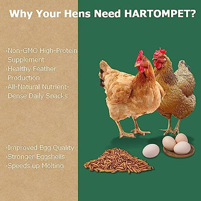 Premium Dried BSF Larvae for Chickens - 2LB High Calcium Supplement, Molting and Laying Support, Non-GMO & High-Protein Treats, Food for Wild Birds, Ducks, Repitle | Top Grade BSF - size: 10 Pound (Pack of 1)