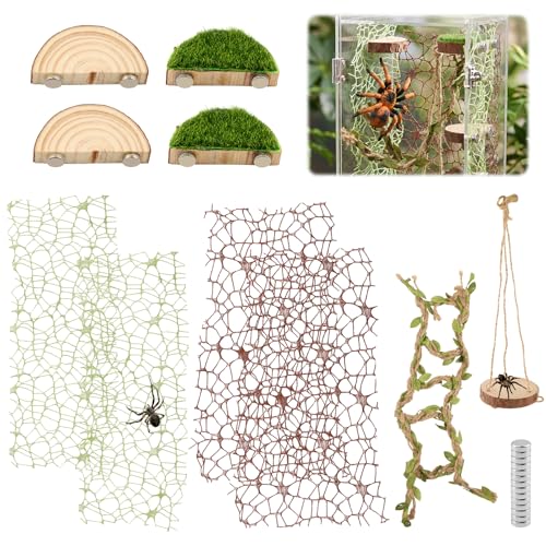Jumping Spider Habitat Decor, Acrylic Insect Habitat Accessory Set with Magnetic Wooden Platform, Rope Ladder & Climbing Net, Natural Decor for Reptiles