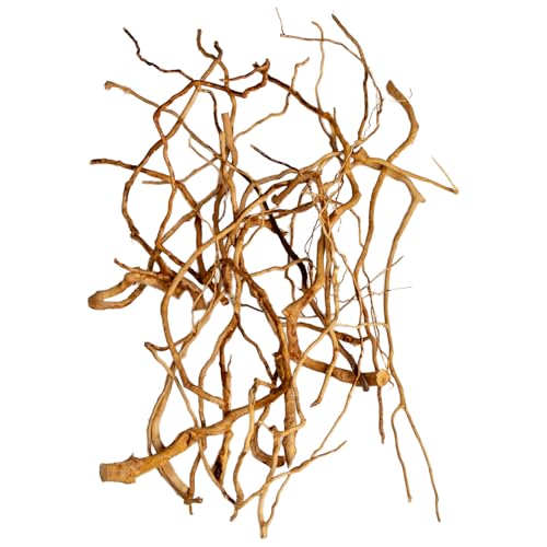 Natural Aquarium Driftwood, [170g] ( 20–40 cm /8–16 in) - Unique Root/Spider Wood Branches for Aquascaping, Planted Tanks & Terrariums, Fish & Plants Decoration, Each Piece One-of-a-Kind (Roots Only) - style: Roots Only
