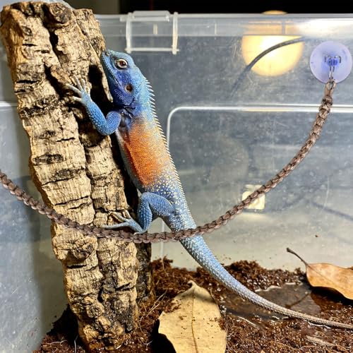 Snake Climbing Rope, 60cm/23.6in Reptile Enclosure Climbing Toy with Hooks & Suction Cups Cotton and Linen Enrichment Accessories for Ball Python Corn Snake Gecko Lizard Hermit Crab Cage Tanks Decor