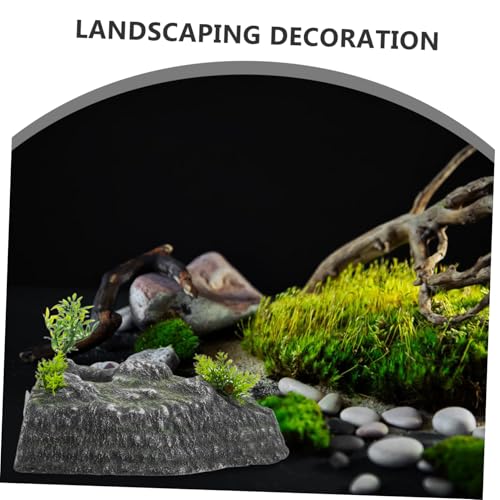 Toddmomy Turtle Basking Platform Climbing Ramp and Floating Island Natural Habitat Decor for Aquariums Resting Terrace for Tortoises and Reptiles Physical Activity and Reduces Stress