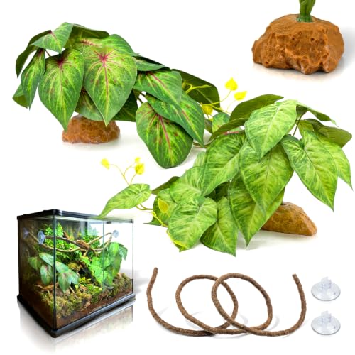 3PC Reptile Terrarium Habitat Decor Kit – Realistic Artificial Reptile Plants with Hanging Vine, Resin Stone Base – Jungle Rainforest Habitat & Climbing for Lizard & Amphibians (Syngonium) - color: Syngonium Podophyllum