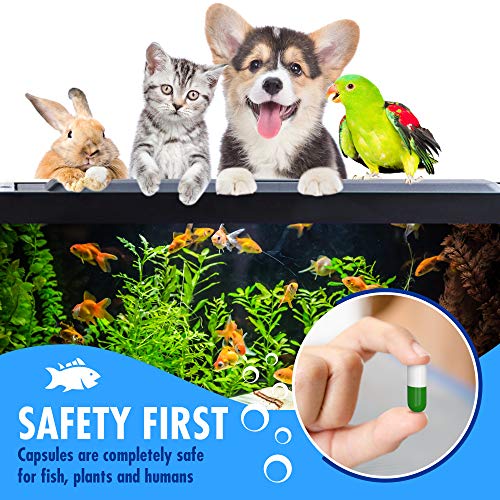 BESEDER Biocapsules Fish Tank Water Cleaner, Biostarter, 10-Capsule Pack Provides Up to 6 Months of Water Care for 20-25 Gallon Freshwater & Sea Aquariums, Helps Break Down Inanimate Organic Waste - size: FTWC