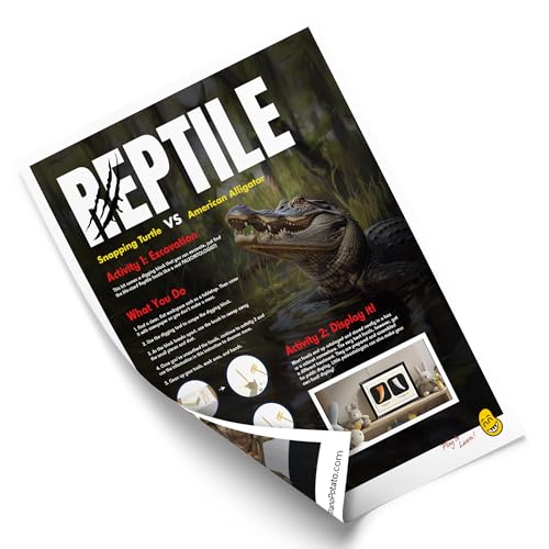 Reptile Dig Kit for Kids – Excavate Life-Sized American Alligator Tooth & Snapping Turtle Claw – STEM Science Educational Toy, Paleontology Activity Set with Display Frame, Ages 6+ - size: Alligator Tooth & Snapping Turtle Claw
