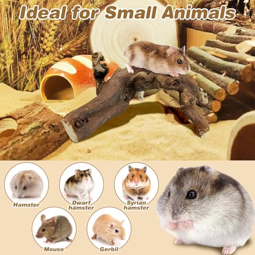 PINVNBY 2 PCS Wooden Hamster Climbing Branches 5.9 in Natural Grapevine Syrian Hamster Chewing Toys Small Animal Habitat Decor Accessories for Gerbils Mice Rat and Dwarf Pets