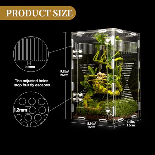 Acrylic Jumping Spider Habitat, Reptile Terrarium Easy Assembly, Bug Enclosure, Praying Mantis Habitat, Frog Enclosure, 9.8 * 5.9 * 5.9in - size: M-9.8*5.9*5.9in-Upgrade