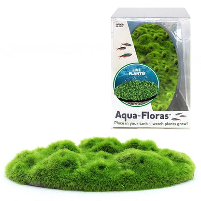 Penn-Plax Aqua Flora Moss Patch - Aquarium Living Resin Decoration with Embedded Glosso Seeds - Easy-Grow Freshwater Moss for Natural Aquascapes - Safe Resin Decor - Green, 4.3 x 2.87 x 0.8 Inches